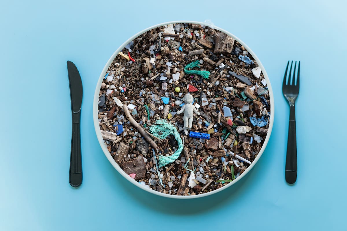 Los microplásticos en tu comida están contribuyendo a estos dos problemas de salud: estudio