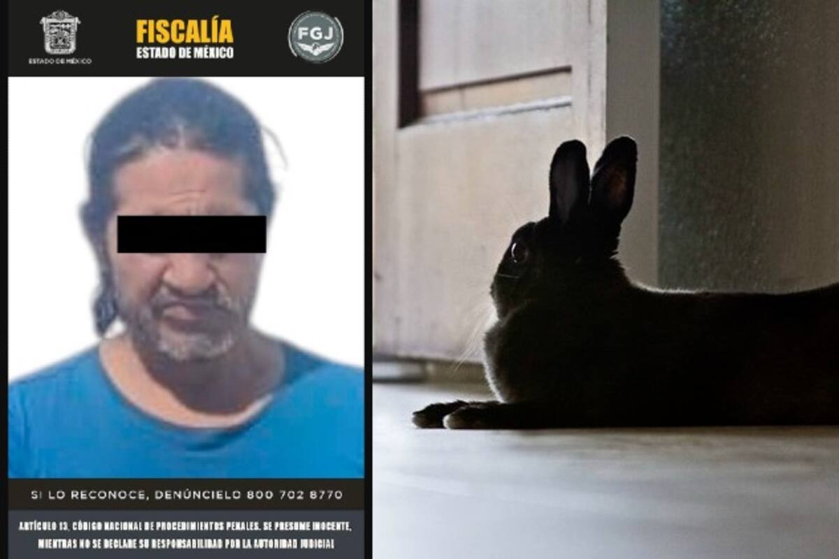 Detenido hombre en Estado de México por causar la muerte de 15 conejos