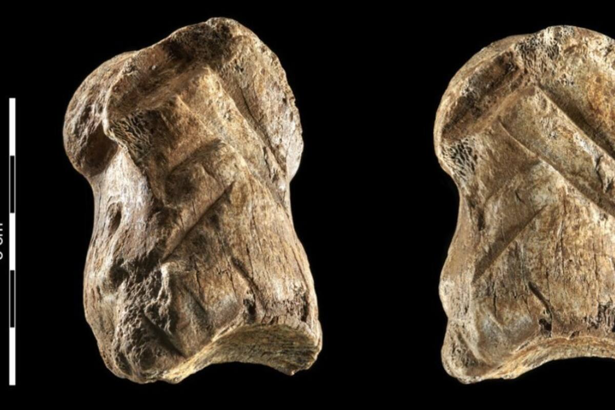 Científicos alemanes localizan hueso tallado por neandertales hace más de 51 mil años