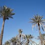 Alerta por calor extremo en Yuma: pronostican temperaturas de hasta 47 °C durante seis días