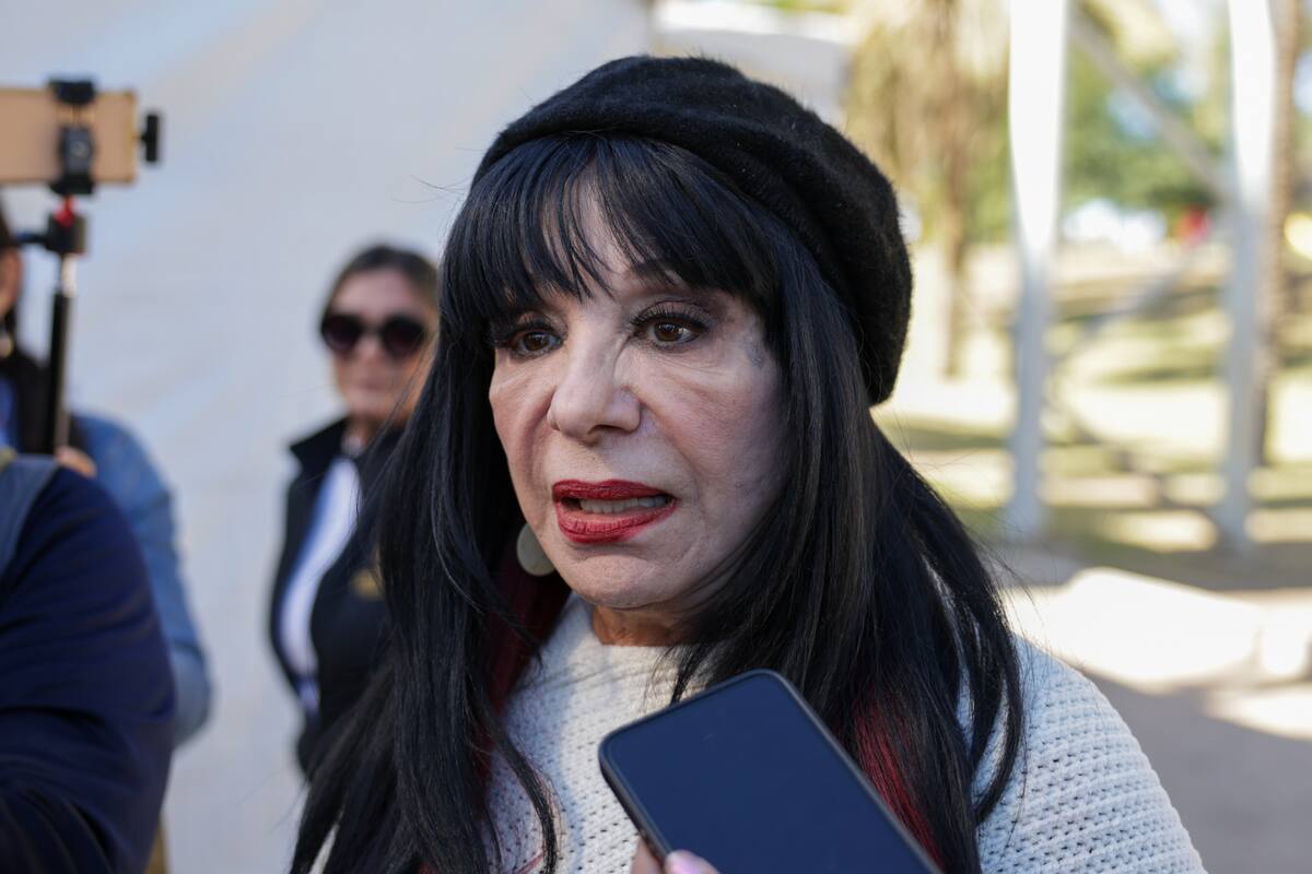 Contemplan la creación de una dirección de movilidad en Mexicali