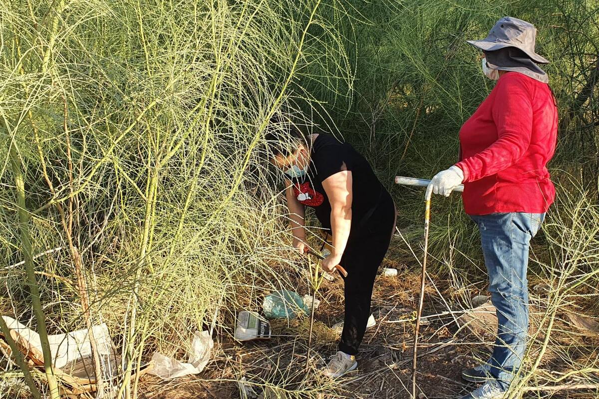 Localizan cuerpos en fosa clandestina de colonia Aves del Castillo