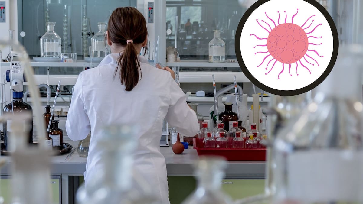 El mayor estudio mundial del cáncer colorrectal hecho en Suecia, donde participaron casi 280 mil personas, confirma que detectarlo a tiempo reduce casos avanzados