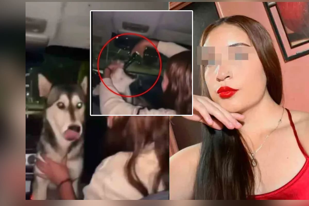 Identifican a una joven que dio alcohol a una perrita y la expulsan de la Universidad Pedagógica Nacional; grabó VIDEO riendo mientras lo hacía