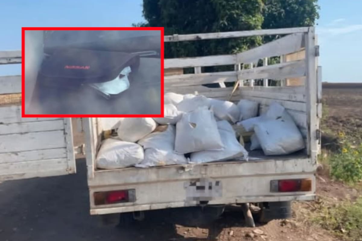 Aseguran vehículos, droga y sustancias químicas en operativo interinstitucional en Mocorito