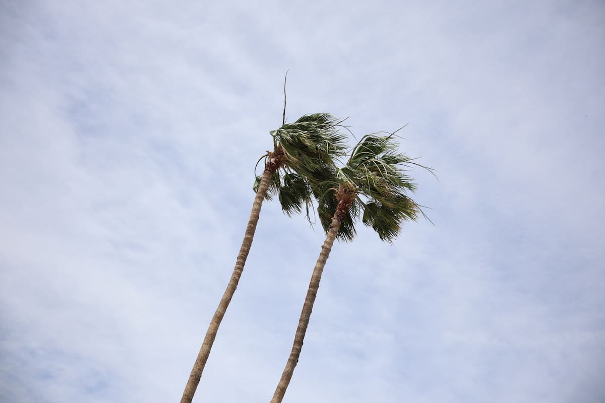 Pronostican rachas de viento de hasta 55 km/h en San Luis Río Colorado; alertan por tolvaneras