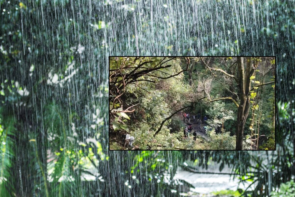 2 jóvenes mueren arrastrados por la corriente de un río en Atlixco