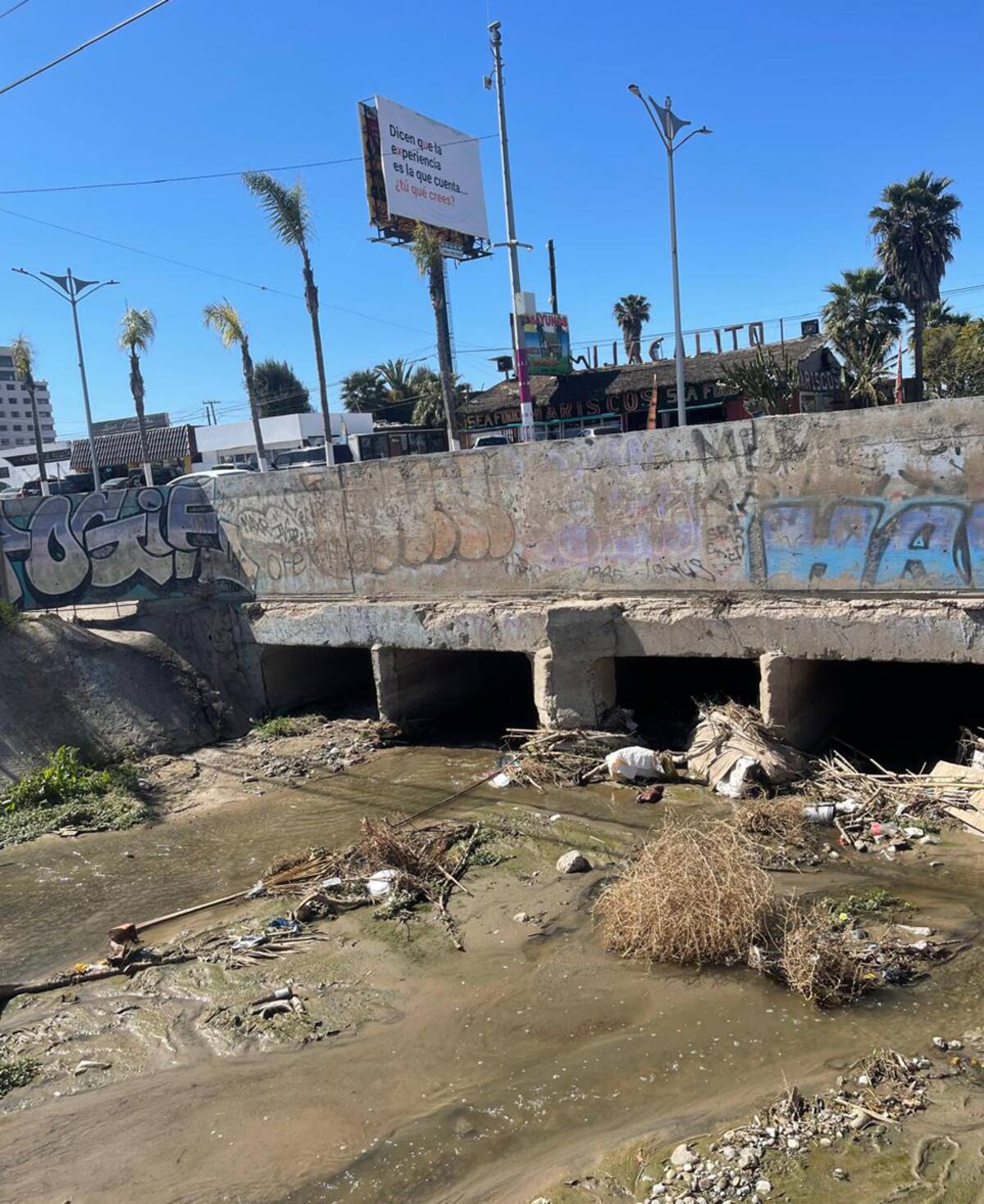 La gran cantidad de basura podría ocasionar una inundación, como ya ha ocurrido.