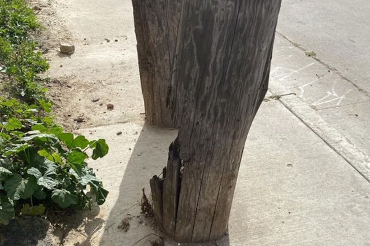 Pone en riesgo poste a punto de derrumbarse a vecinos de la Flores Magón