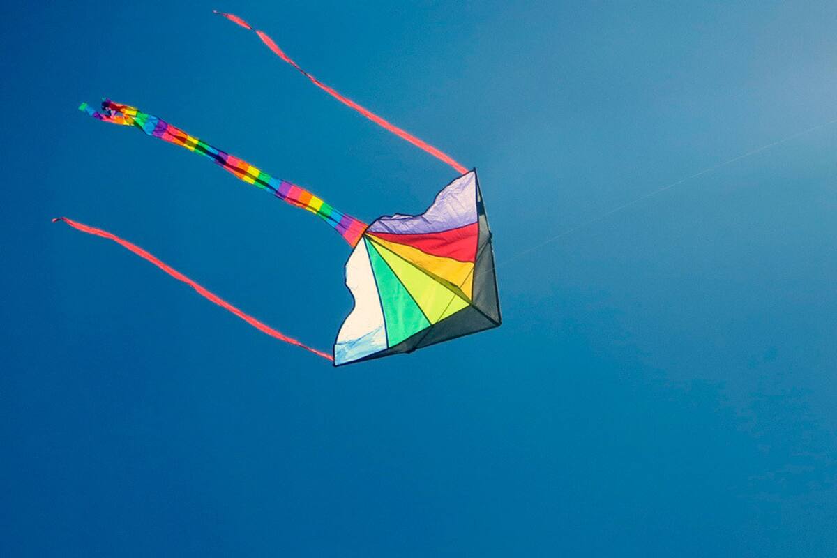 Graban a mono volando cometa mientras los humanos están confinados