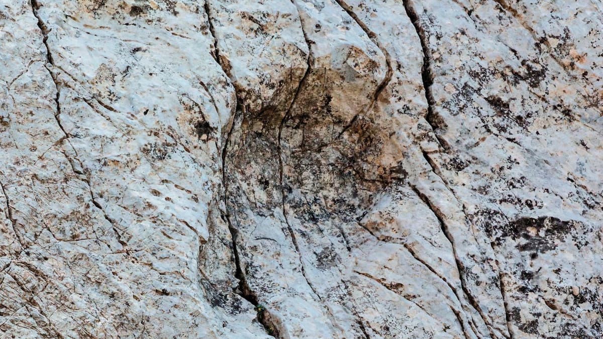 Huellas de dinosaurios del período Triásico fueron localizadas en una zona montañosa del norte de Italia (AP)