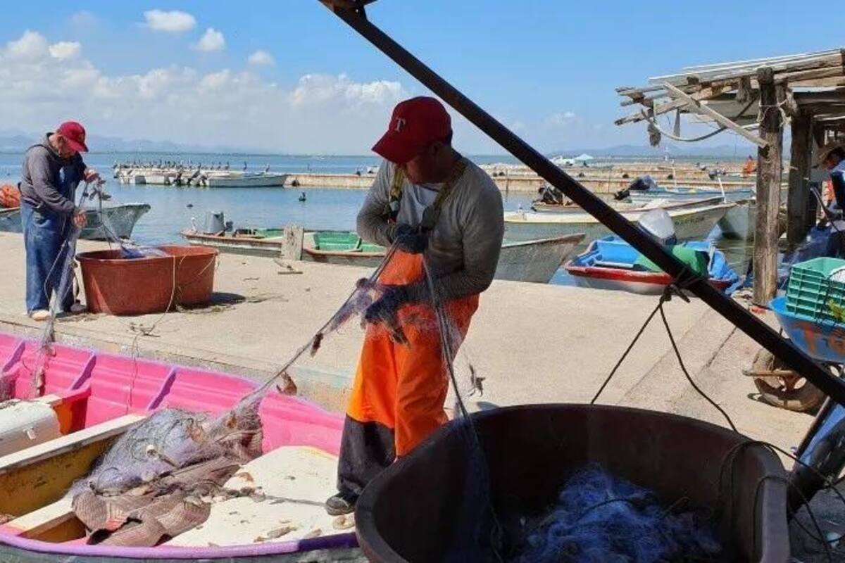 Economía mexicana crece en julio 5.7%; suma dos meses al alza: Inegi