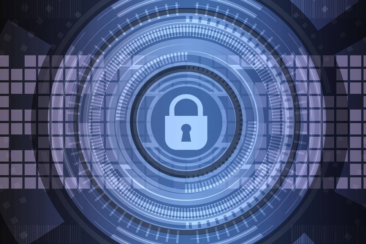 WhatsApp: Cómo ver historias o estados sin que se enteren tus contactos