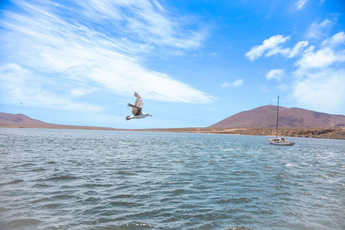 Coepris certifica que 21 playas son aptas para vacacionar en BC