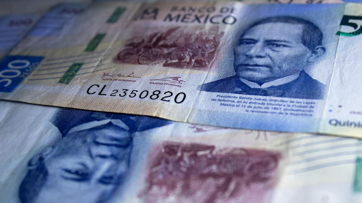 Senadores de Movimiento Ciudadano proponen fijar el salario mínimo en México en el valor de dos canastas básicas, lo que implicaría un aumento de 17% para 2026 y garantizaría ingresos suficientes para cubrir necesidades alimentarias y no alimentarias