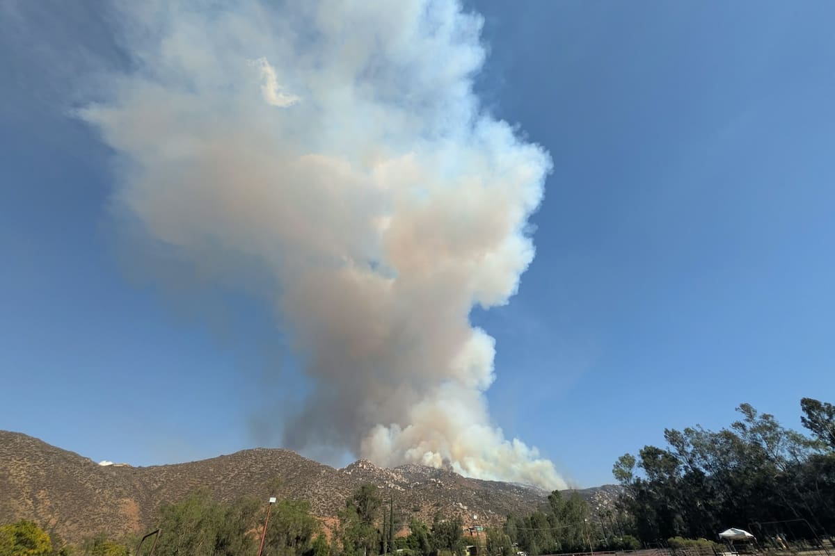 Incendio forestal afecta 80 hectáreas en San Antonio Necua