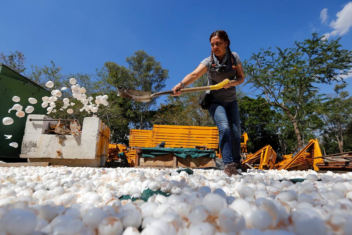 Limpian con cascarones de huevo uno de los ríos más contaminados de México