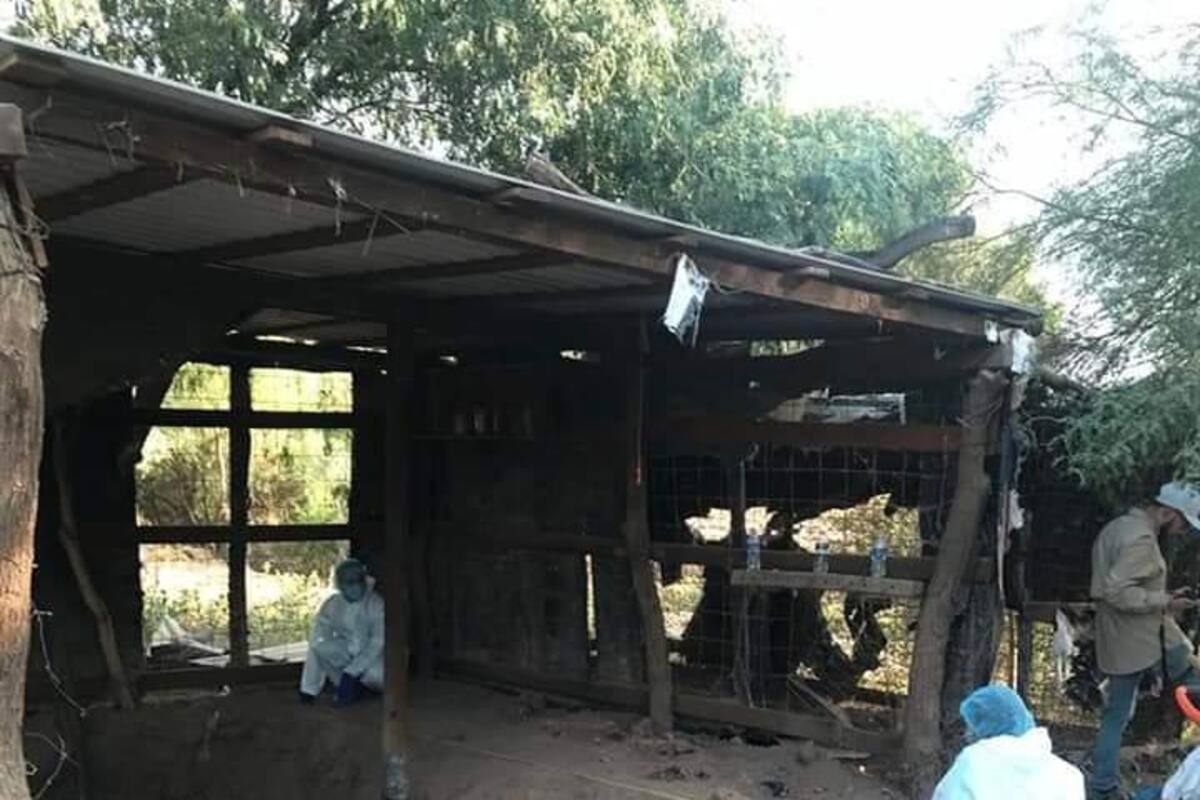 Hallan 7 osamentas en el Valle del Yaqui