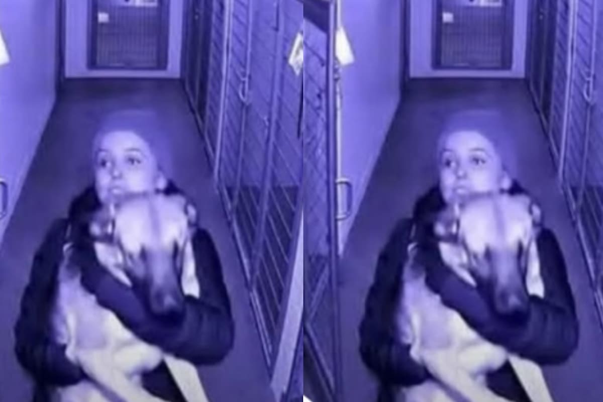 “Su exnovio lo había dejado en un refugio tras separarse de ella”: Mujer rescata a su perro justo antes de que fuera sacrificado