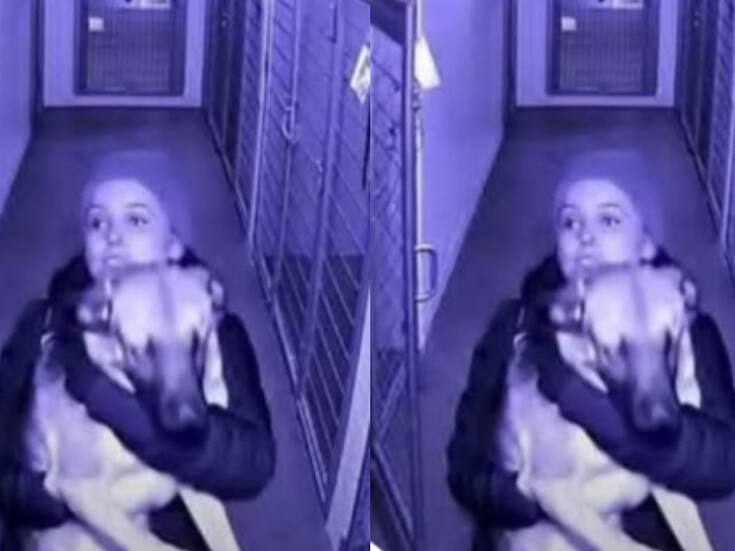 “Su exnovio lo había dejado en un refugio tras separarse de ella”: Mujer rescata a su perro justo antes de que fuera sacrificado
