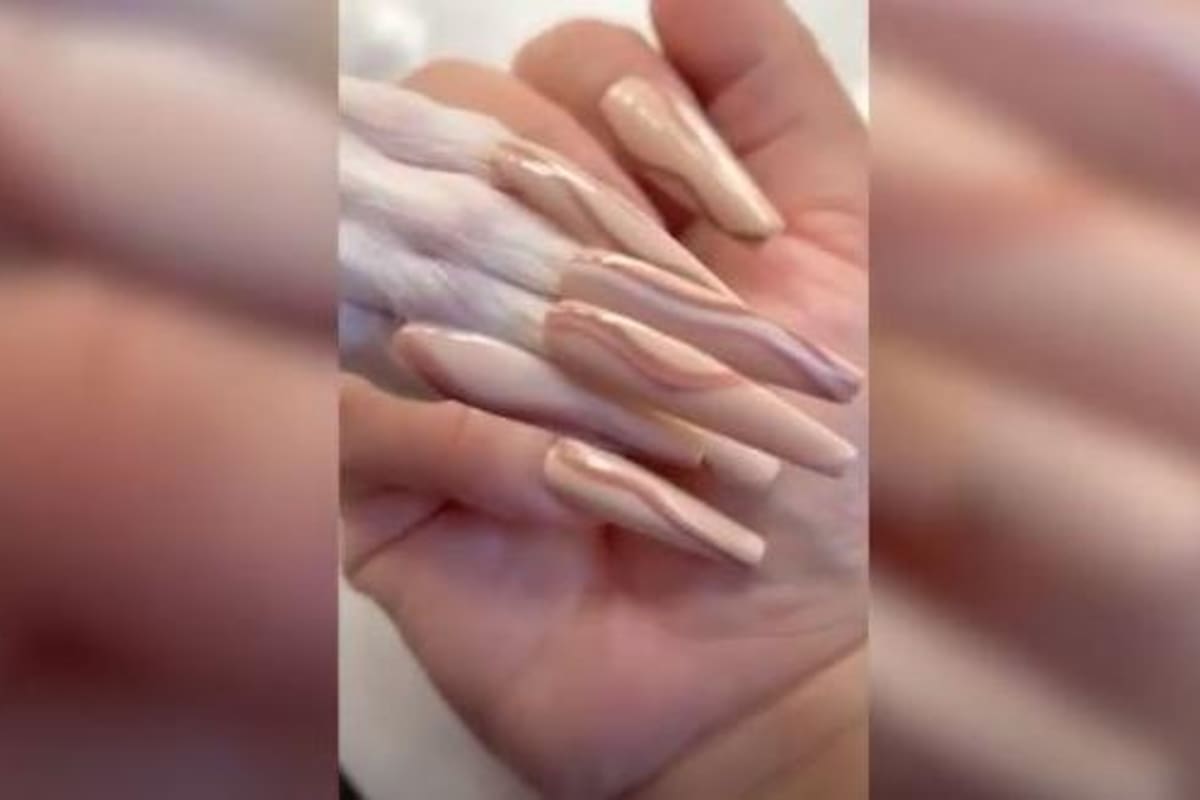 VIDEO: Esta mujer le pone uñas postisas a su mascota