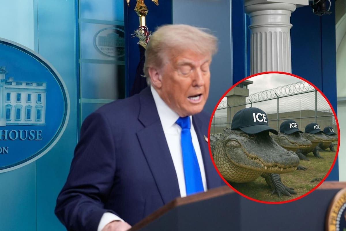 Trump asistirá a la inauguración de ‘Alligator Alcatraz’, el nuevo centro de detención para migrantes en Florida