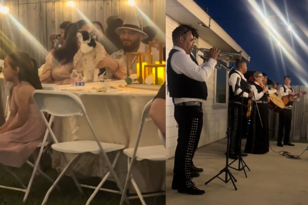 Mujer celebra los 15 años de su gata con mariachis e invitados; se hace viral