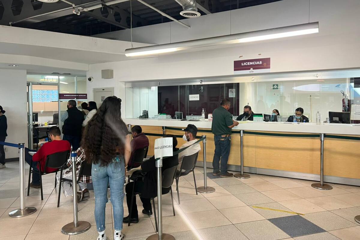 Oficinas de Recaudación de Rentas permanecerán cerradas el lunes 21 de noviembre