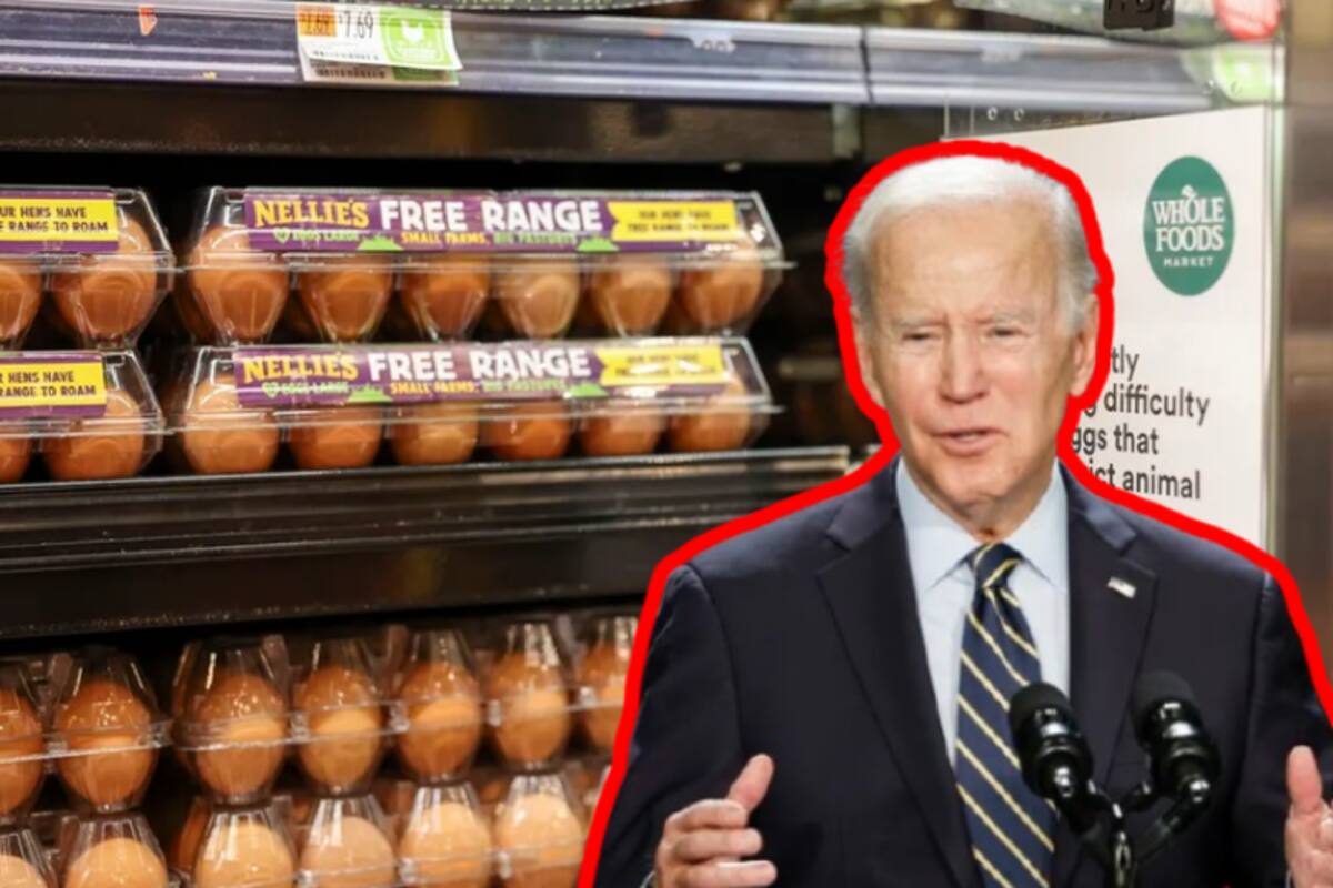 Crisis de los huevos en Estados Unidos: La Casa Blanca culpa a Biden por sacrificar millones de pollos y desatar el caos alimentario
