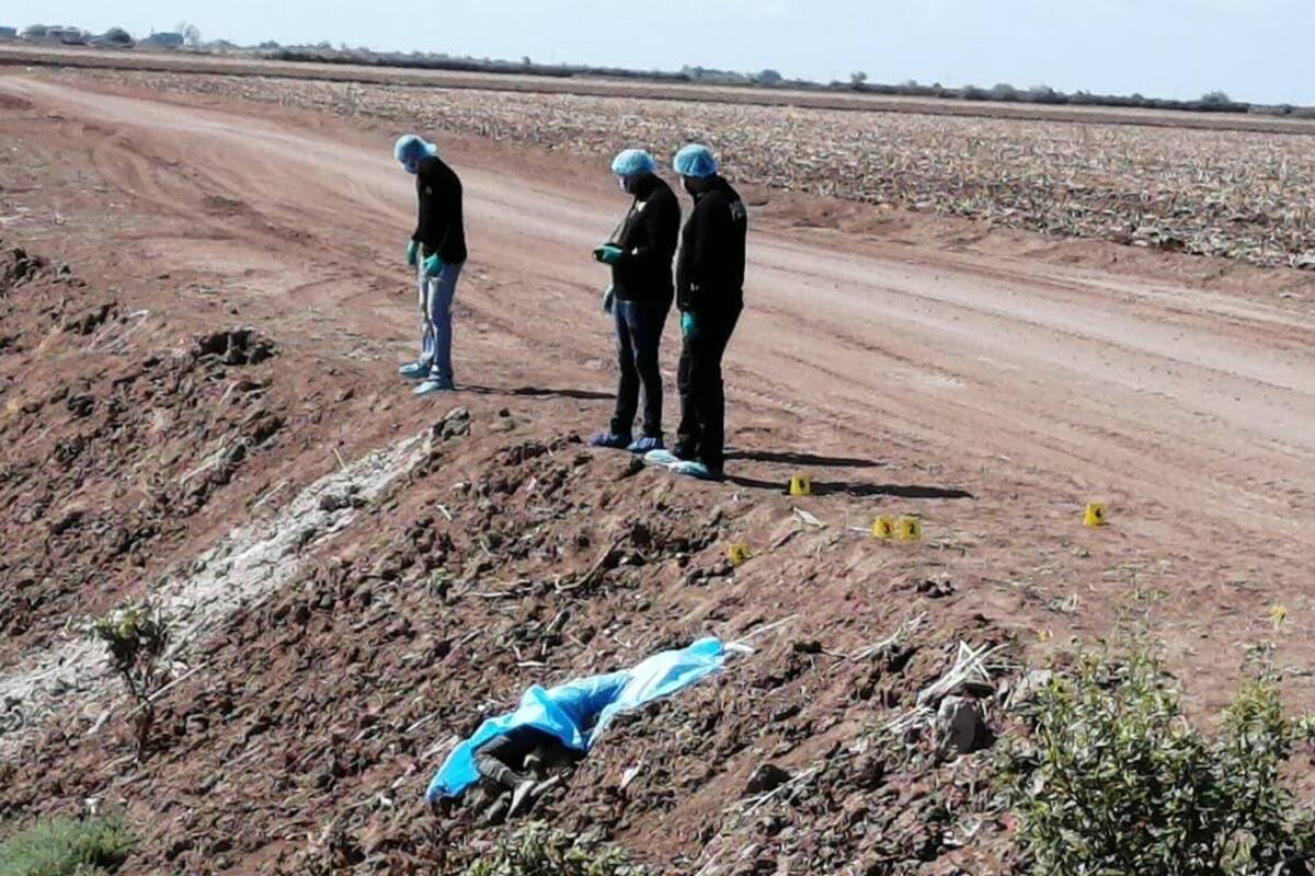 Hallan tres cuerpos de hombres sin vida en Valle del Yaqui, Obregón