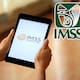 ¿Puede tener IMSS una persona que vive en Estados Unidos?
