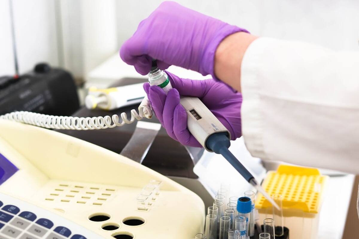 Lucha contra Covid-19 descuida atención a malaria, tuberculosis y sida