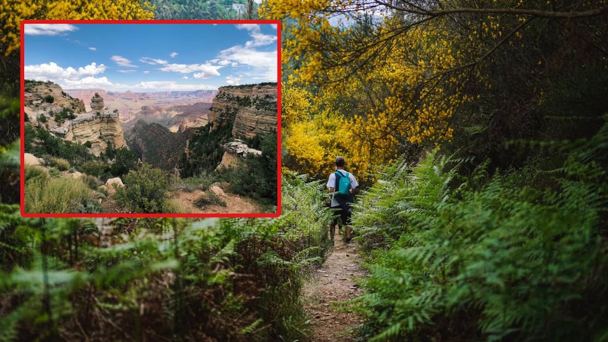 Adolescente muere por síntomas de calor extremo durante caminata en el Gran Cañón