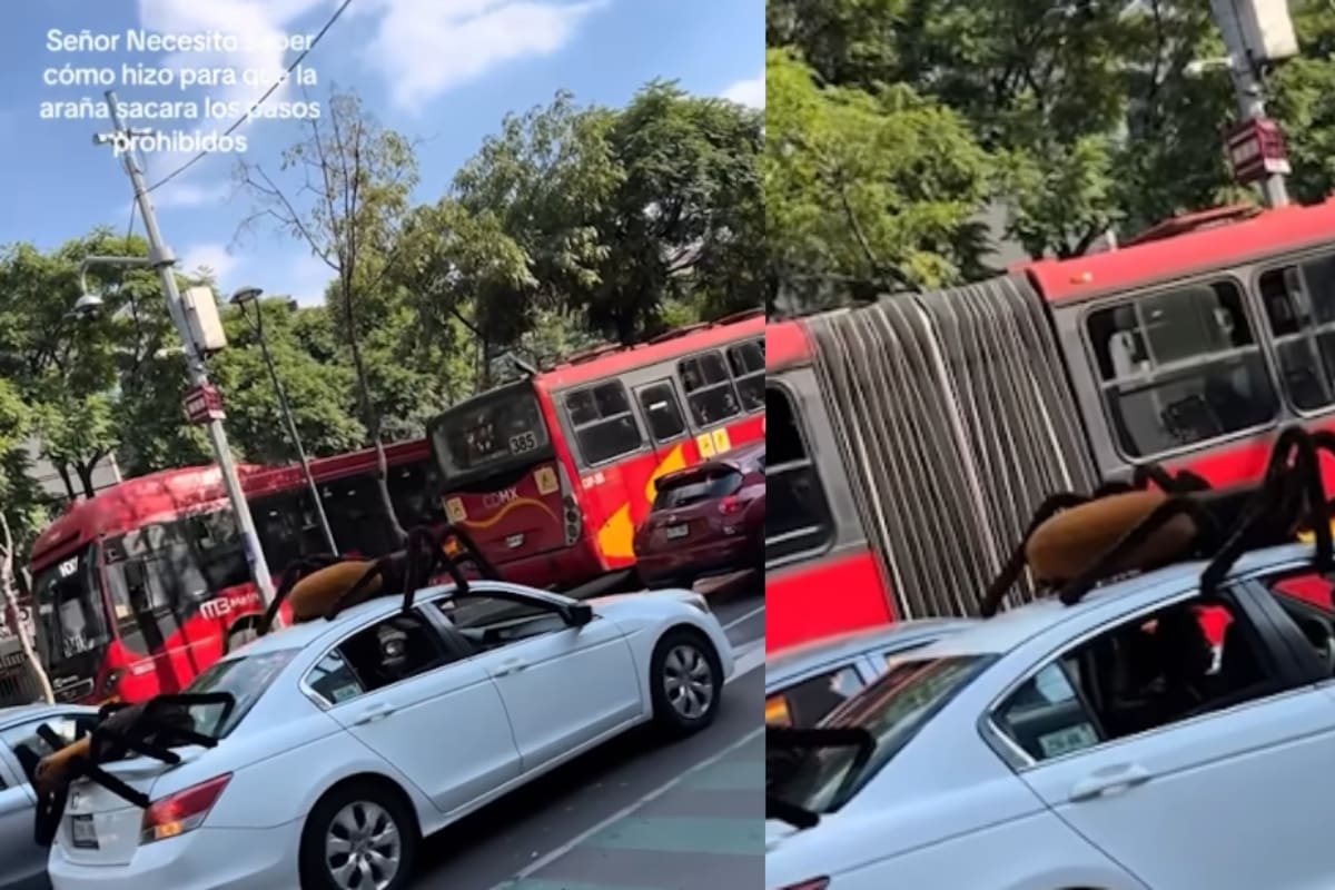 Hombre en Ciudad de México sorprende al transitar con coche que tiene arañas gigantes móviles pegadas en él
