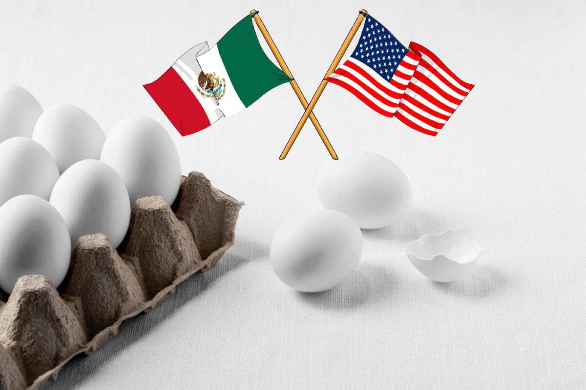 México se convirtió en el principal proveedor de huevo en Estados Unidos por gripe aviar