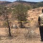 Colectivo encuentra una osamenta dentro del casco urbano de la ciudad de Nogales