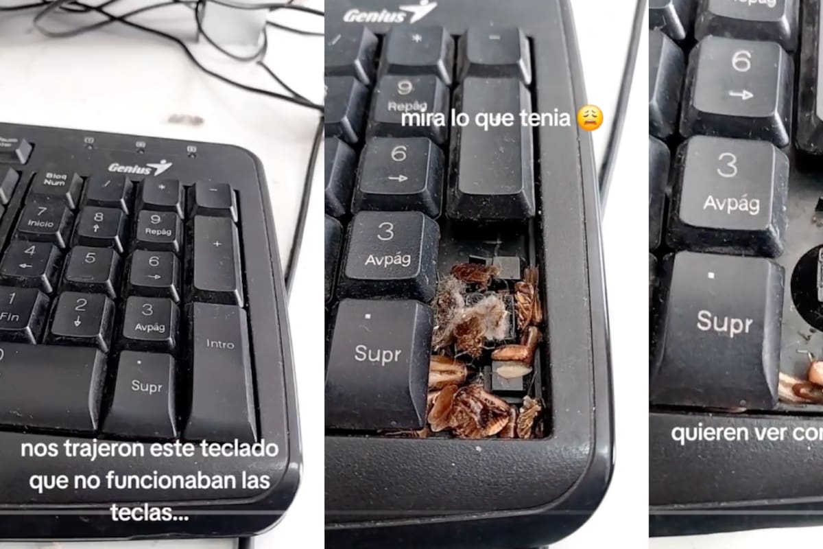 VIDEO: le mandan un teclado para brindarle limpieza y encuentra que hay cucarachas debajo de las teclas