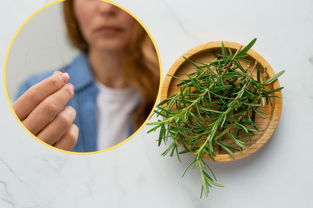 Cómo preparar agua de romero para detener la caída del cabello