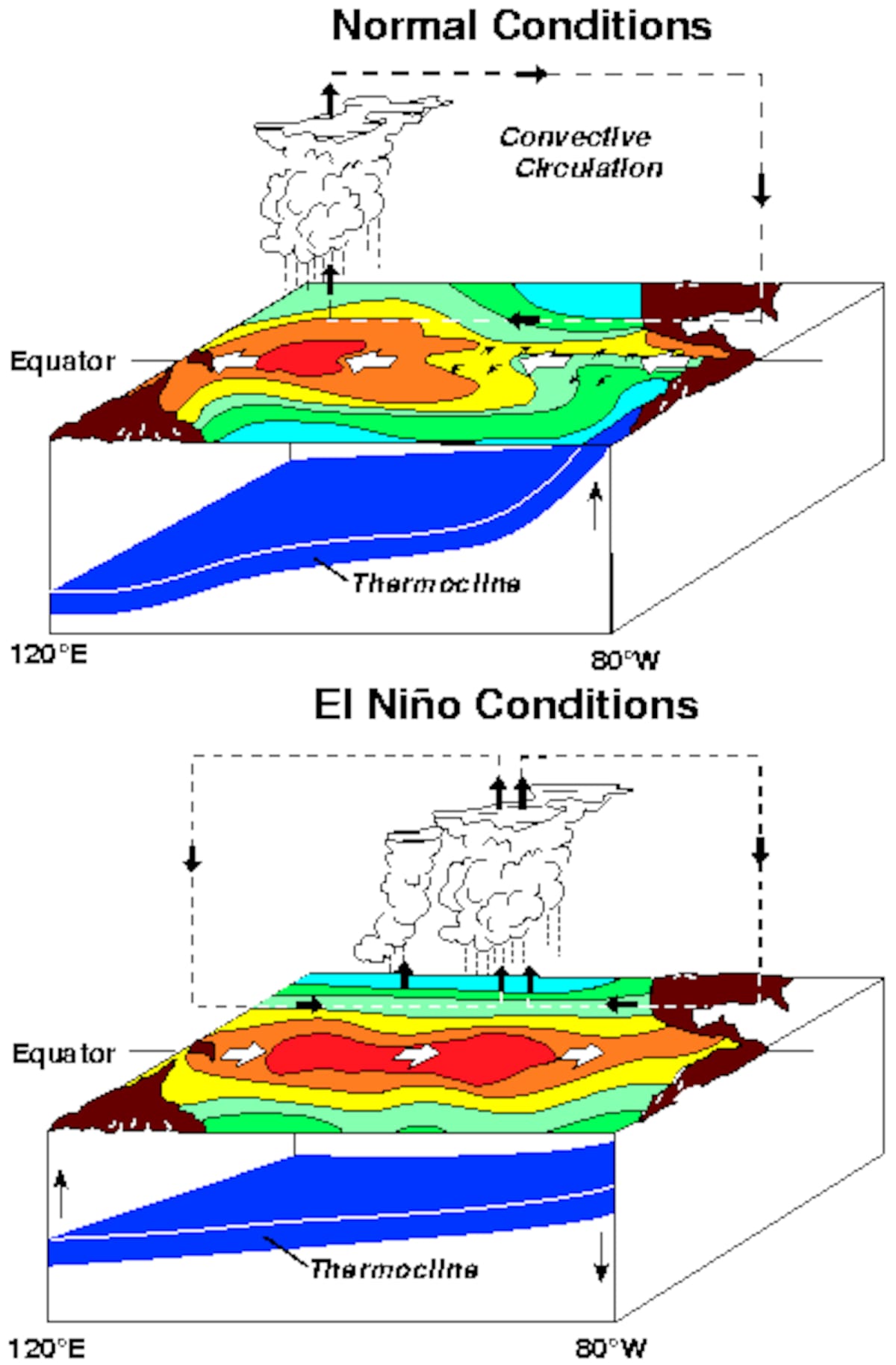 NOAA PMEL explica qué es El Niño con diagramas oficiales sobre aguas cálidas, vientos y cambios en el Pacífico ecuatorial.