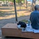 José vive en la calle: ¿qué apoyos ofrece DIF Hermosillo?