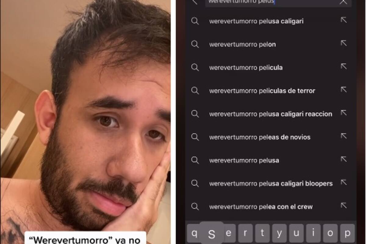 Desaparece de Youtube el canal de Werevertumorro