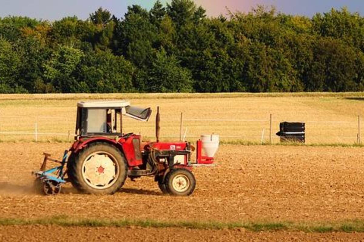 Agricultor mueve piedra sin saber que marca la división entre dos países