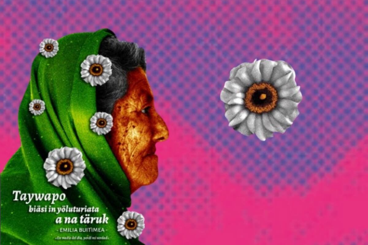 Invitan a conmemorar aniversario del Colegio de Sonora con actividades académicas y culturales