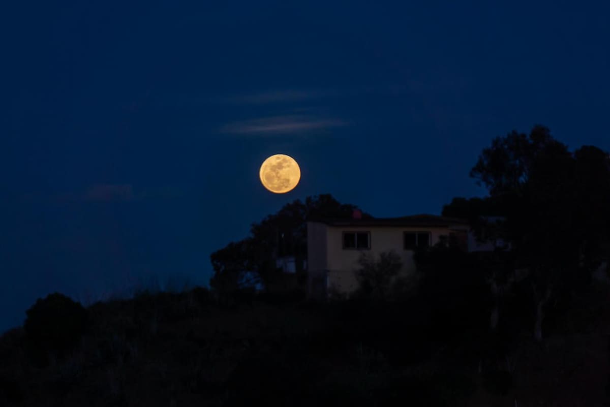 La noche de este miércoles 1 de abril, una imponente luna llena iluminó el cielo de Tijuana, destacando por su brillo y tamaño aparente, en un fenómeno conocido como “Luna Rosa”, vinculado con el calendario de Semana Santa.
Foto: Border Zoom