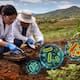 Científicos de la UNAM descubren en Oaxaca un “ejército” de bacterias benéficas con potencial para recuperar suelos agrícolas, reducir agroquímicos y fortalecer la agricultura sostenible en México