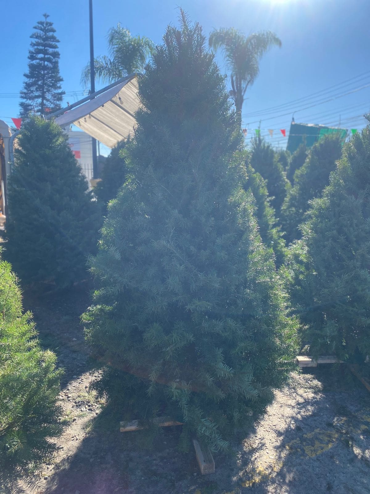 Foto: Emmanuel Castañeda