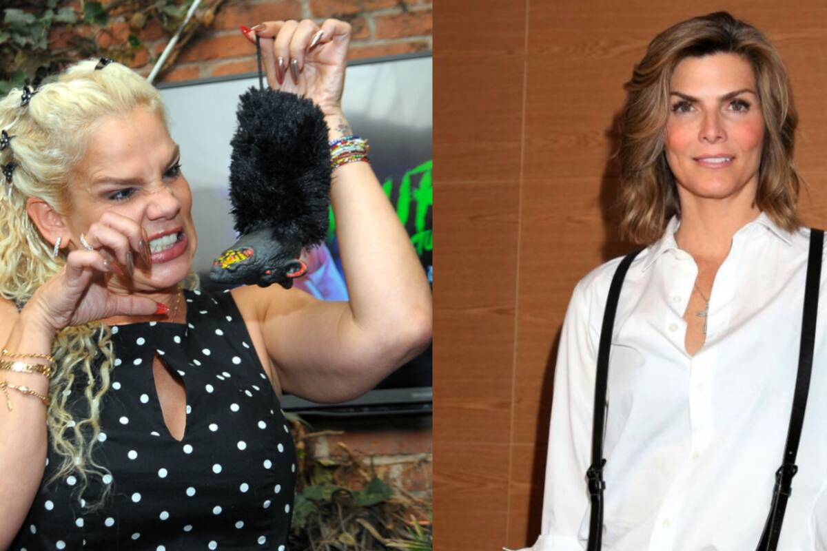 Niurka llama ''mustia y sobajada'' a Montserrat Oliver