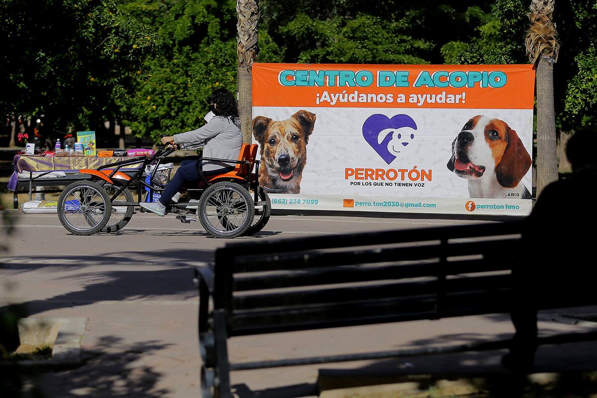Cultura Bike invita a una rodada para“ladrar” con causa