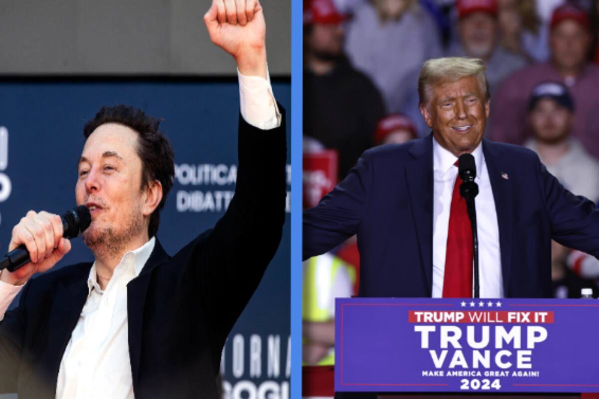 ¿Por qué Elon Musk se está convirtiendo en el encargado de la eficiencia de Donald Trump?