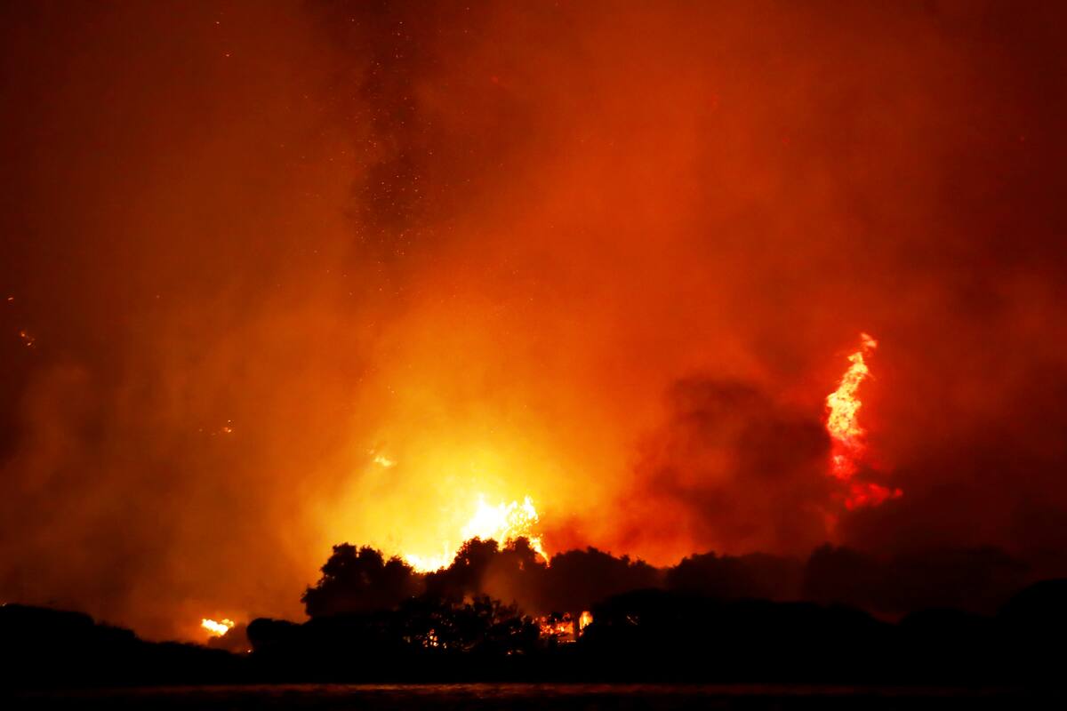 Controlan incendió que arrasó casi diez mil hectáreas en España